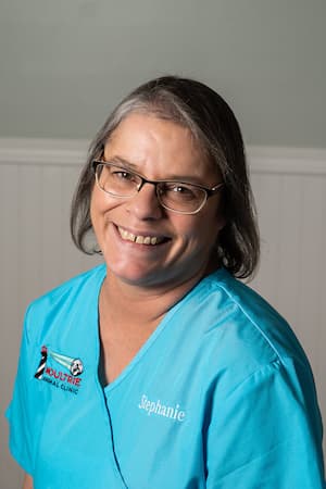 Stephanie in blue Moultrie Animal Clinic scrubs.